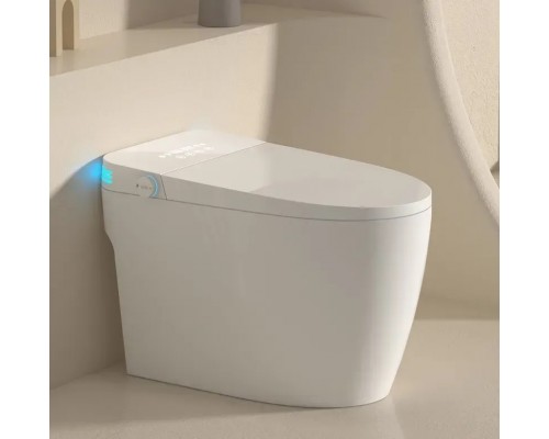 Умный унитаз -биде Smart toilet