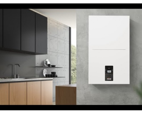 Котел газовий конденсаційний FERROLI BLUEHELIX ALPHA 24 С