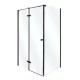 Душевая кабина INSANA Adriana Black 120х90х195 без поддона